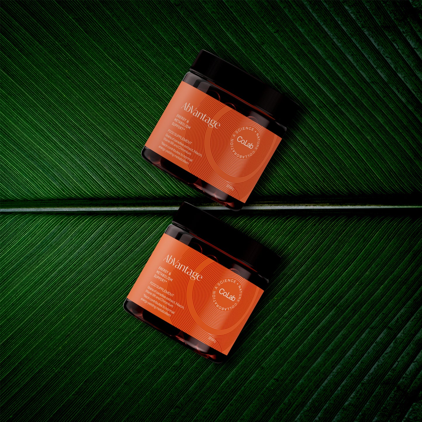 AbVantage-Fat Burner 2-Pack